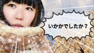 おかっぱミユキいかがでしたか？