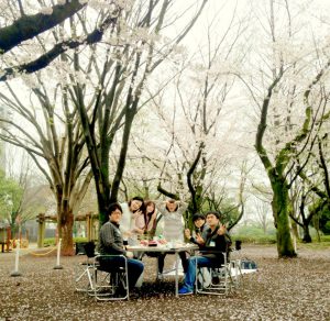 おかっぱミユキ桜8